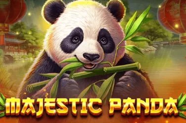 22mmr game ဘင်ဂိုဂိမ်း ကစားနေသောမြင်ကွင်း